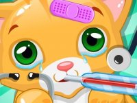 Pet Vet Care: Animal Clinic