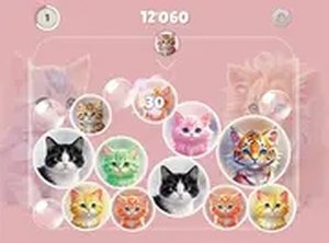 Merge Master: Kittens Puzzle Game