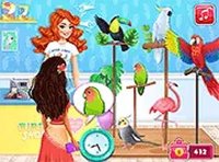Jessie's Feathered Friends Shop