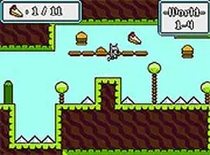 Raccoon Tracks: Platform Explorer